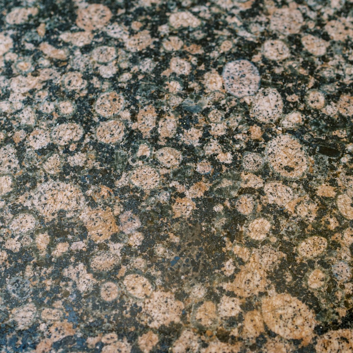 abstract-texture-of-granite-with-round-splashes-2025-01-08-02-22-13-utc
